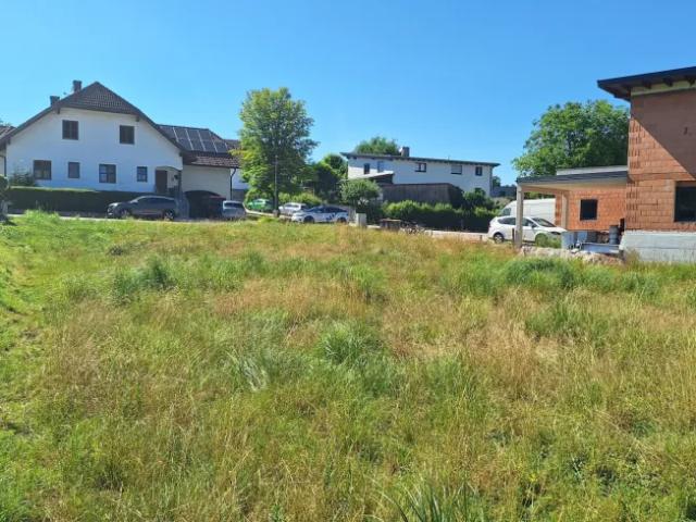 Grundstück kaufen in Steinakirchen am Forst, Niederösterreich