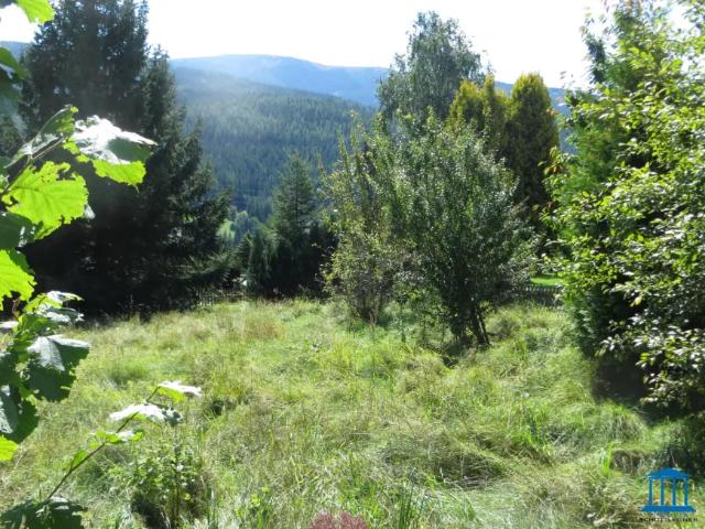 Grundstück kaufen in Spital am Semmering, Steiermark