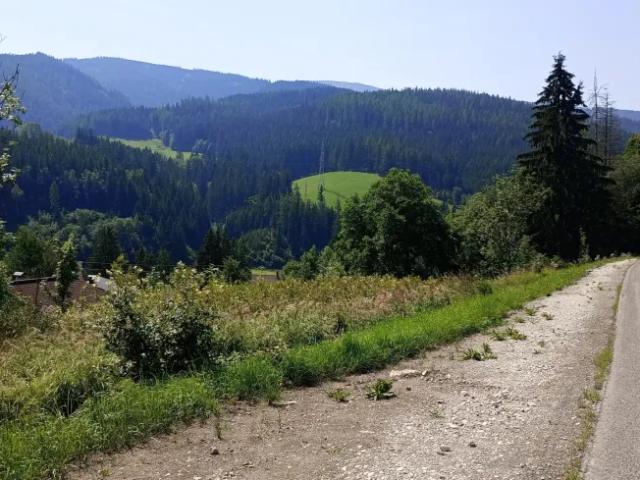 Grundstück kaufen in Spital am Semmering, Steiermark