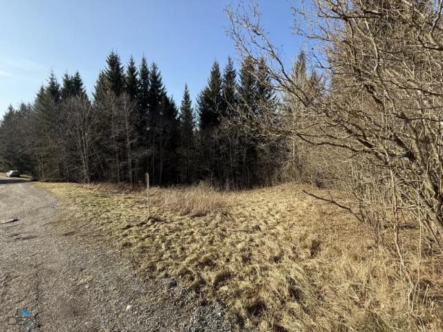 Grundstück kaufen in Spital am Semmering, Steiermark