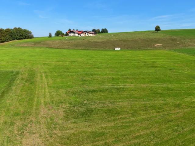 Grundstück kaufen in Straßwalchen, Bezirk Salzburg-Umgebung