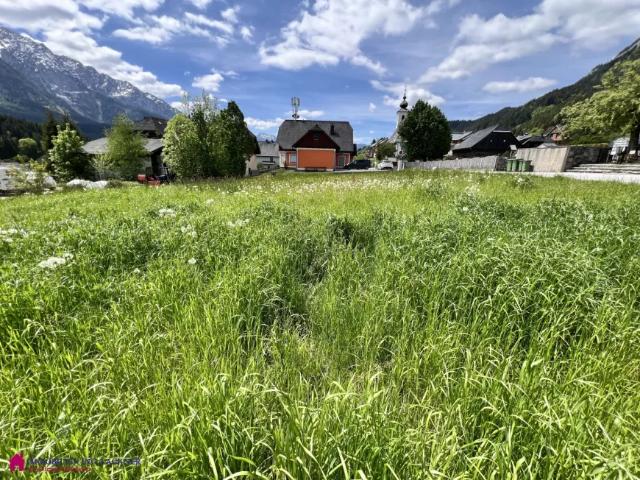 Grundstück kaufen in Bad Mitterndorf, Steiermark
