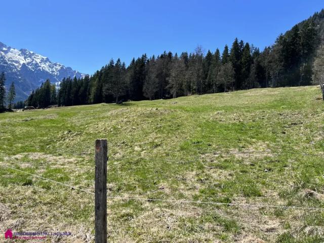 Grundstück kaufen in Bad Mitterndorf, Steiermark