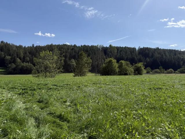 Grundstück kaufen in Steiermark