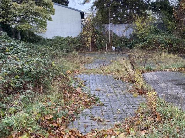 Grundstück kaufen in Katastralgemeinde Traiskirchen, Traiskirchen