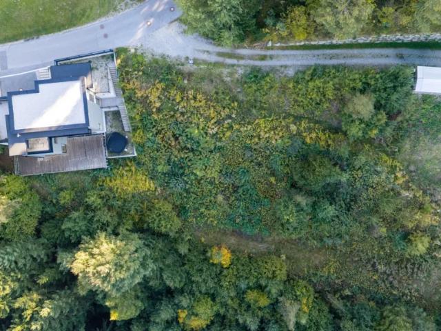 Grundstück kaufen in Tulfes, Bezirk Innsbruck-Land