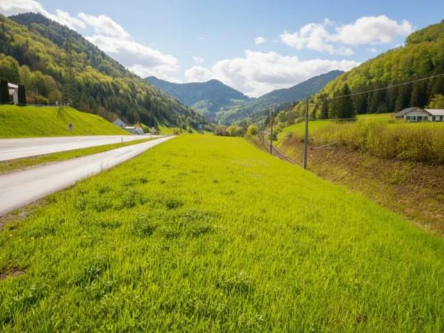 Grundstück kaufen in Waidhofen an der Ybbs, Niederösterreich