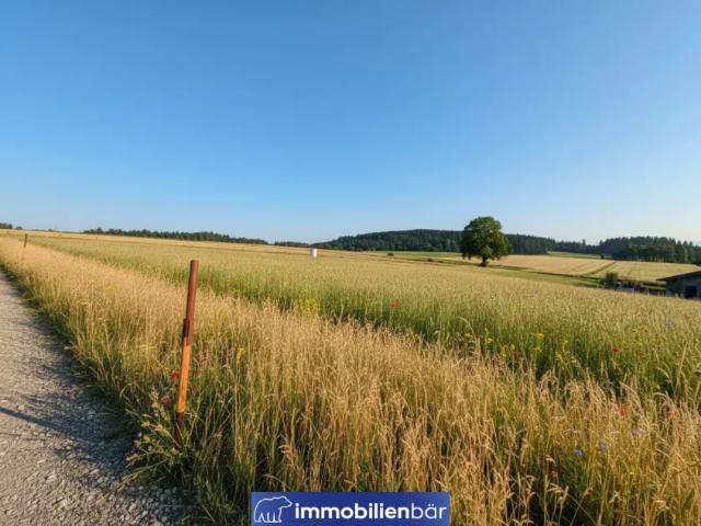 Grundstück kaufen in St. Willibald, Oberösterreich