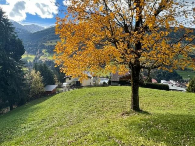 Grundstück kaufen in Weerberg, Tirol
