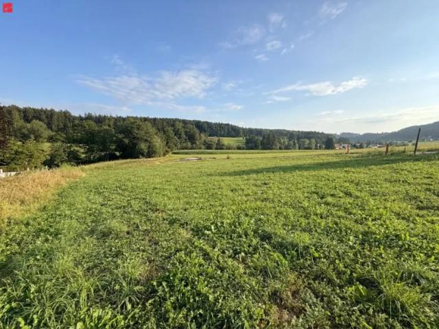 Grundstück kaufen in Niederschöckl, Weinitzen