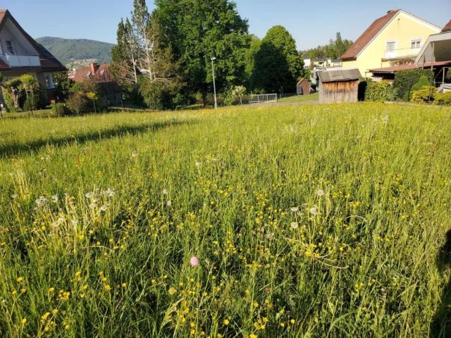 Grundstück kaufen in Weiz, Steiermark