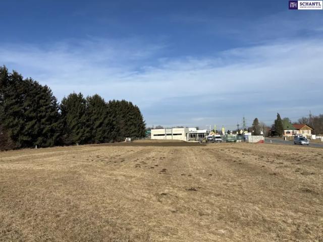 Grundstück kaufen in Werndorf, Steiermark