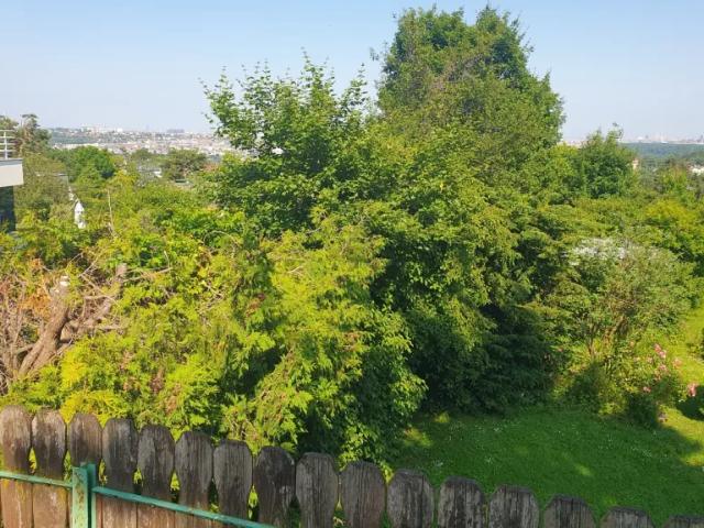 Grundstück kaufen in Donaustadt, Wien