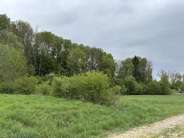 Grundstück kaufen in Wiesfleck, Burgenland