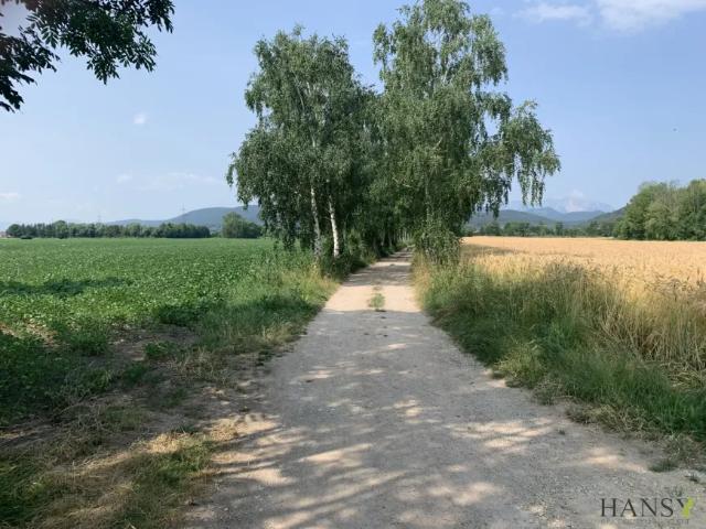 Grundstück kaufen in Willendorf, Niederösterreich
