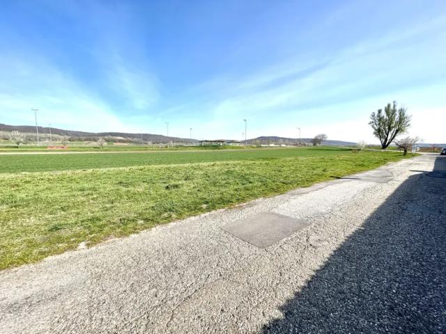Grundstück kaufen in Winden am See, Burgenland