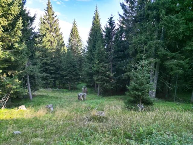Grundstück kaufen in Sonnseite, Steindorf am Ossiacher See