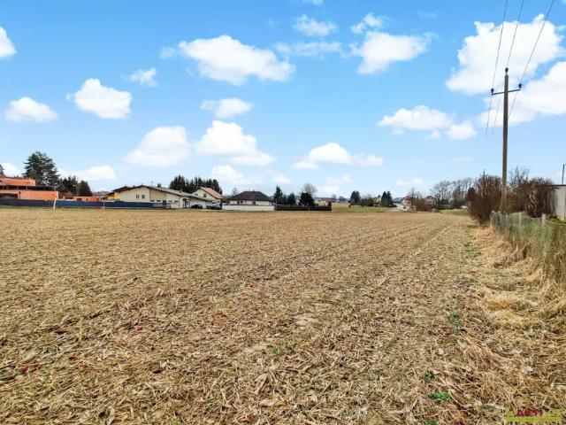 Grundstück mieten in Suben, Oberösterreich