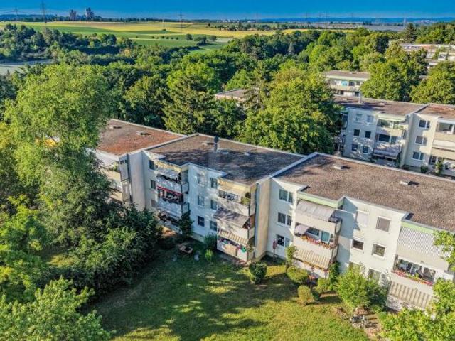 Wohnung kaufen in Freiberg, Mittelsachsen