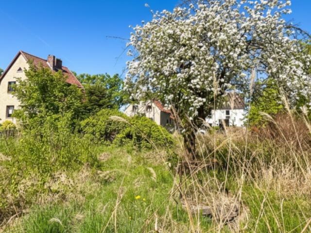 Erdgeschosswohnung kaufen in Berlin