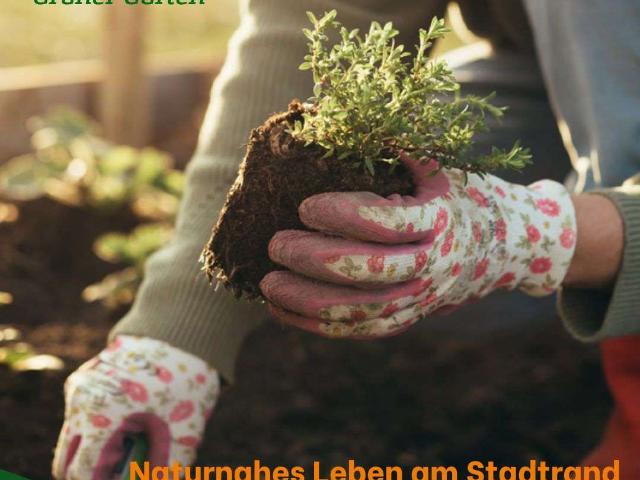 Erdgeschosswohnung kaufen in Voxtrup, Osnabrück