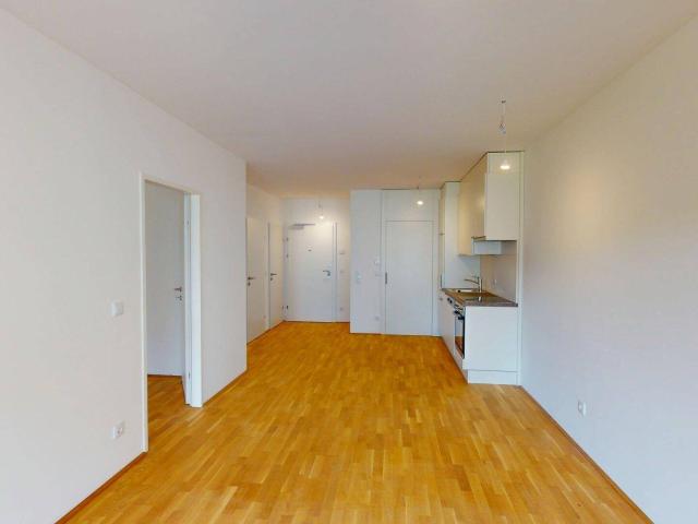 Apartment mieten in Katastralgemeinde Lend, Graz