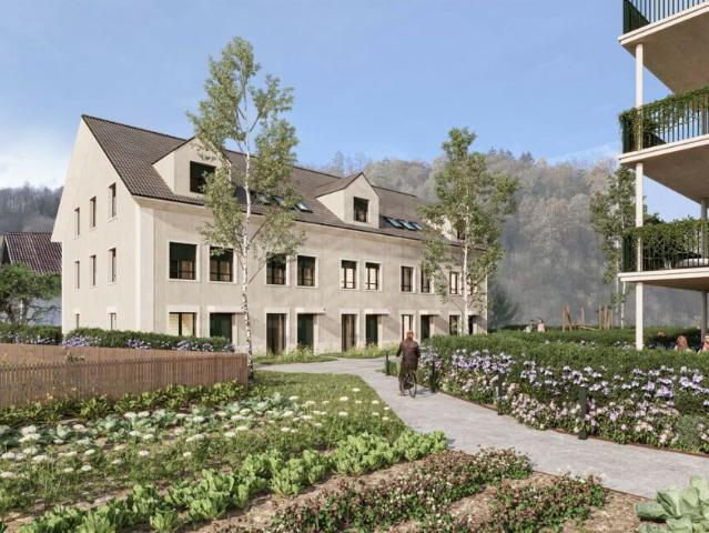 Reihenfamilienhaus kaufen in Schafisheim, Aargau