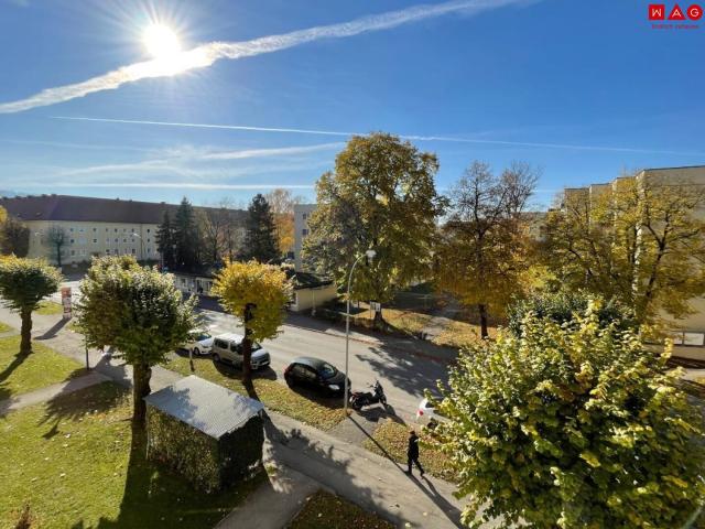 Apartment mieten in Zwischenbrücken, Steyr