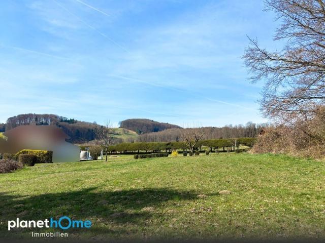 Grundstück kaufen in Kirchstetten, Niederösterreich