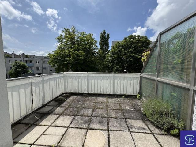 Wohnung kaufen in Donaustadt, Wien
