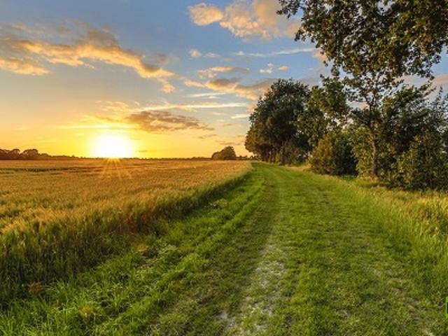Landwirtschaft kaufen in Leer, Niedersachsen
