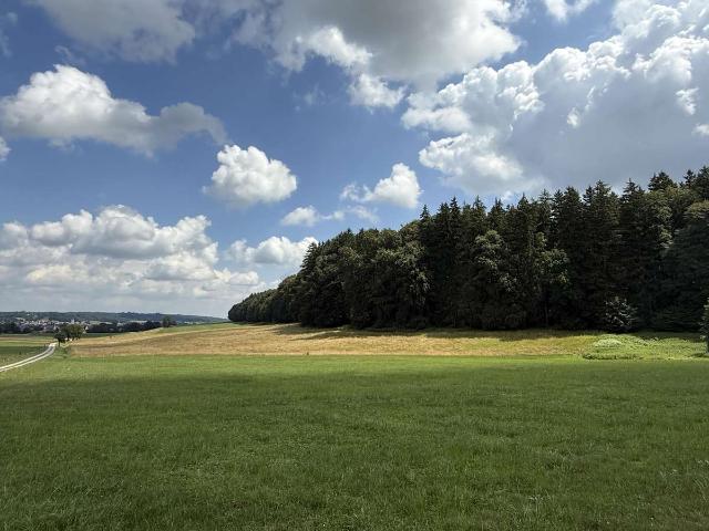Erdgeschosswohnung kaufen in Tussenhausen, Landkreis Unterallgäu