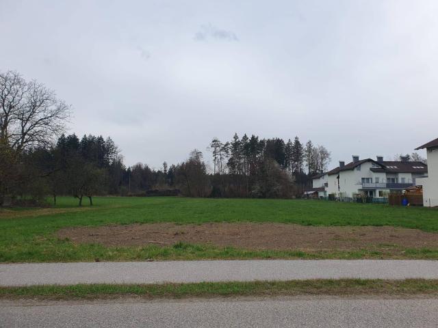 Immobilie kaufen in Franking, Oberösterreich