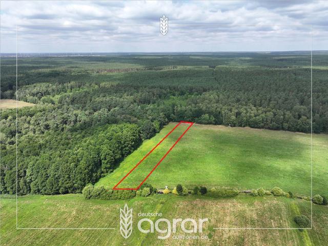 Landwirtschaft kaufen in Algenstedt, Sachsen-Anhalt