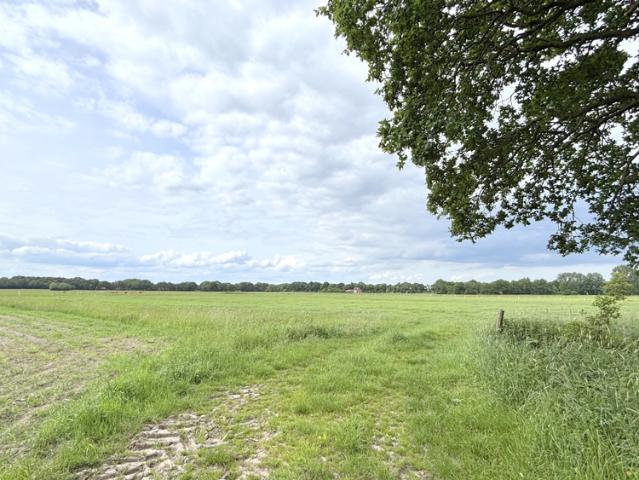 Landwirtschaft kaufen in Halstrup, Westerstede