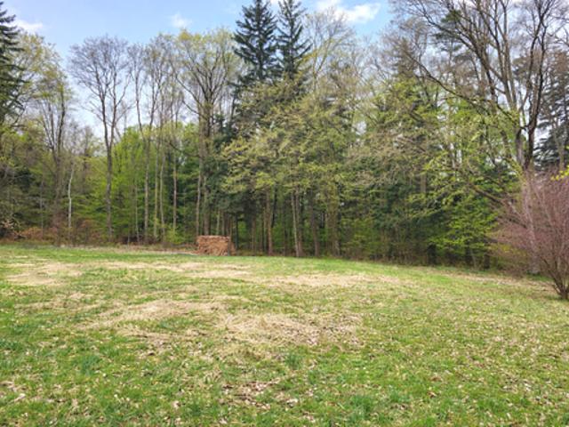 Grundstück kaufen in Böheimkirchen, Niederösterreich