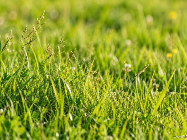 Landwirtschaft kaufen in Föggenbeuern, Dietramszell