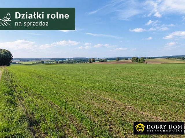 Grunt na sprzedaż w Saki, Odnoga-Kuźmy