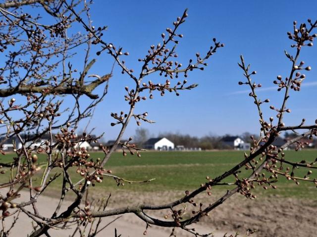 Grunt na sprzedaż w Katarzynki, Wielkopolskie
