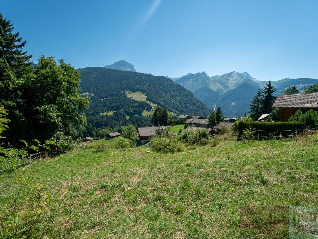 Immobilie kaufen in Gryon, Waadt