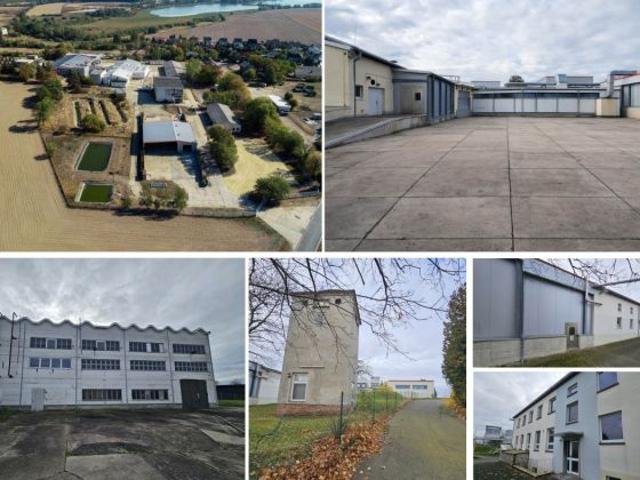 Gewerbe kaufen in Grimma, Sachsen