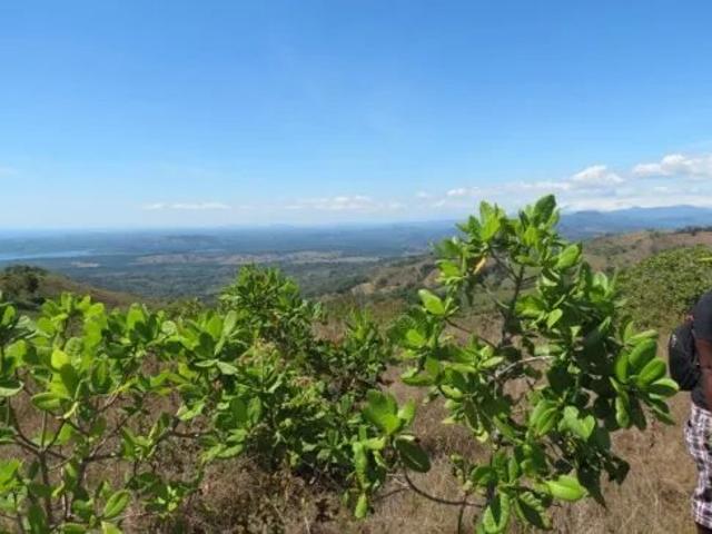 Terreno venta en Chiriquí, David