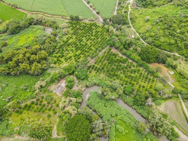Rancho en venta en Morelos