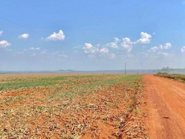 Sítio e chácara venda em Região Geográfica Imediata de Peixoto de Azevedo - Guarantã do Norte, Guarantã do Norte