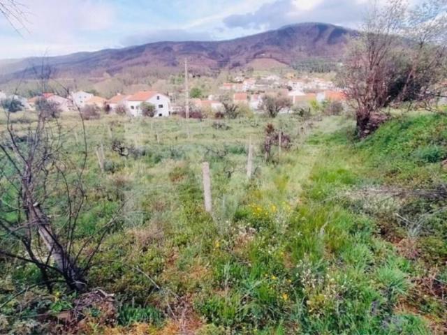 Terreno venda em Guarda