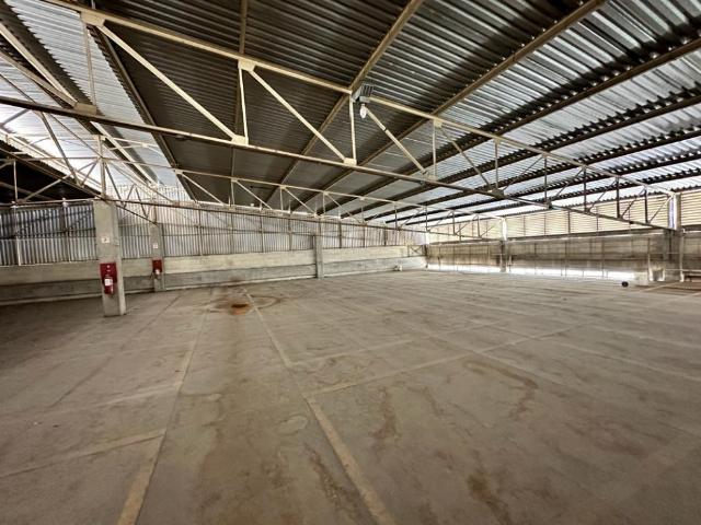 Galpón en venta en Zona Centro, Guarenas