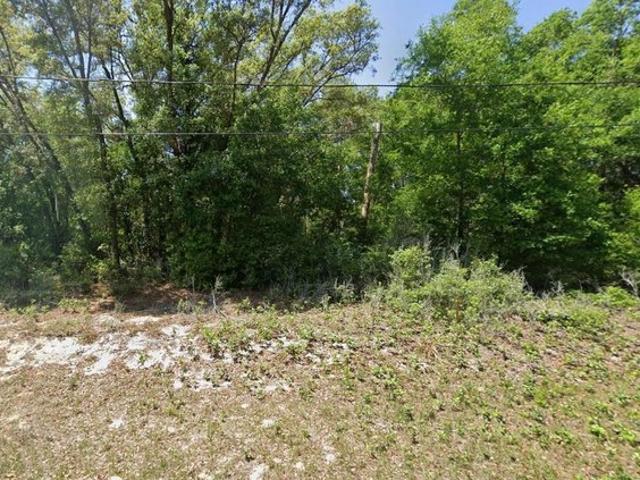 Land for sale in Ocklawaha, Marion County