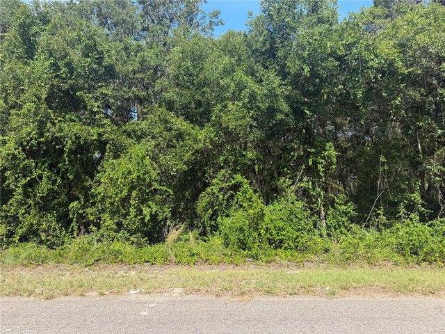 Land for sale in Ocklawaha, Florida