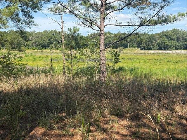 Land for sale in Ocklawaha, Florida
