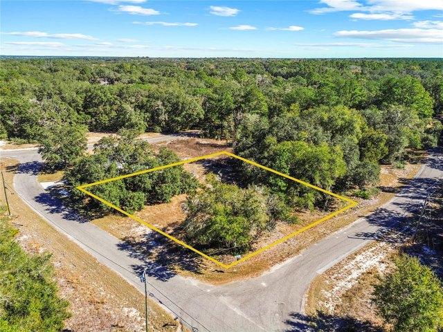 Land for sale in Ocklawaha, Florida